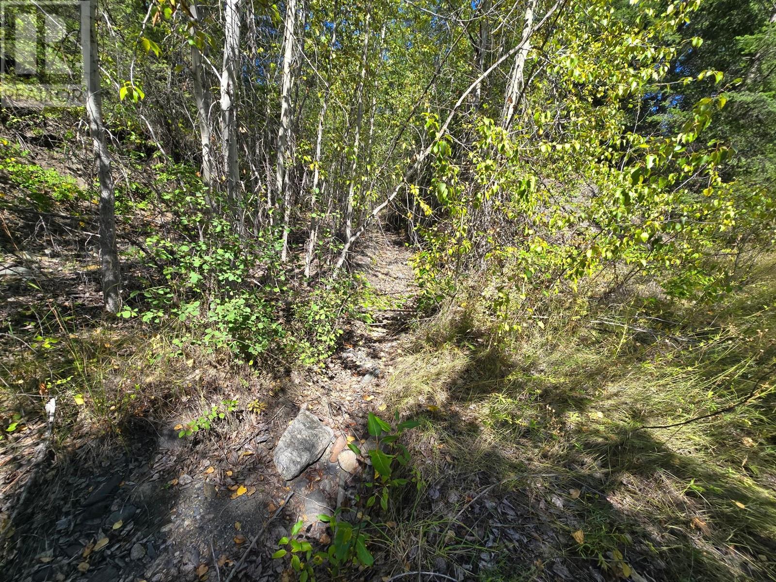 2584 Kp Road, Clearwater, British Columbia   - Photo 11 - 180459