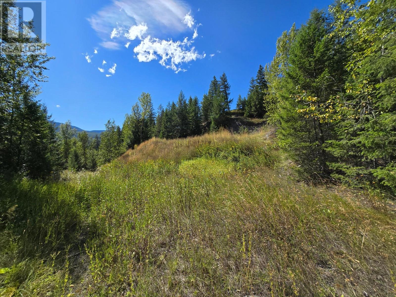 2584 Kp Road, Clearwater, British Columbia   - Photo 12 - 180459