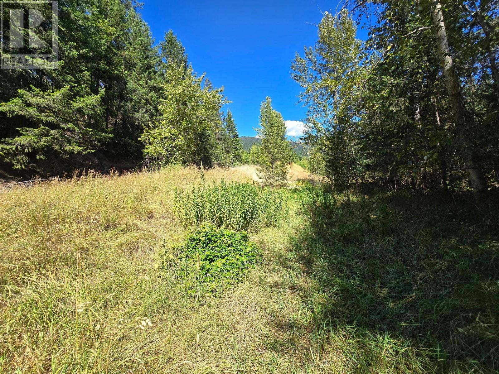 2584 Kp Road, Clearwater, British Columbia   - Photo 13 - 180459