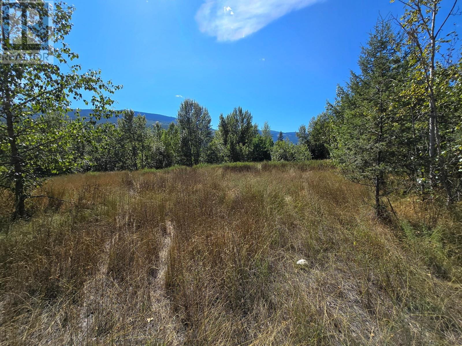 2584 Kp Road, Clearwater, British Columbia   - Photo 16 - 180459