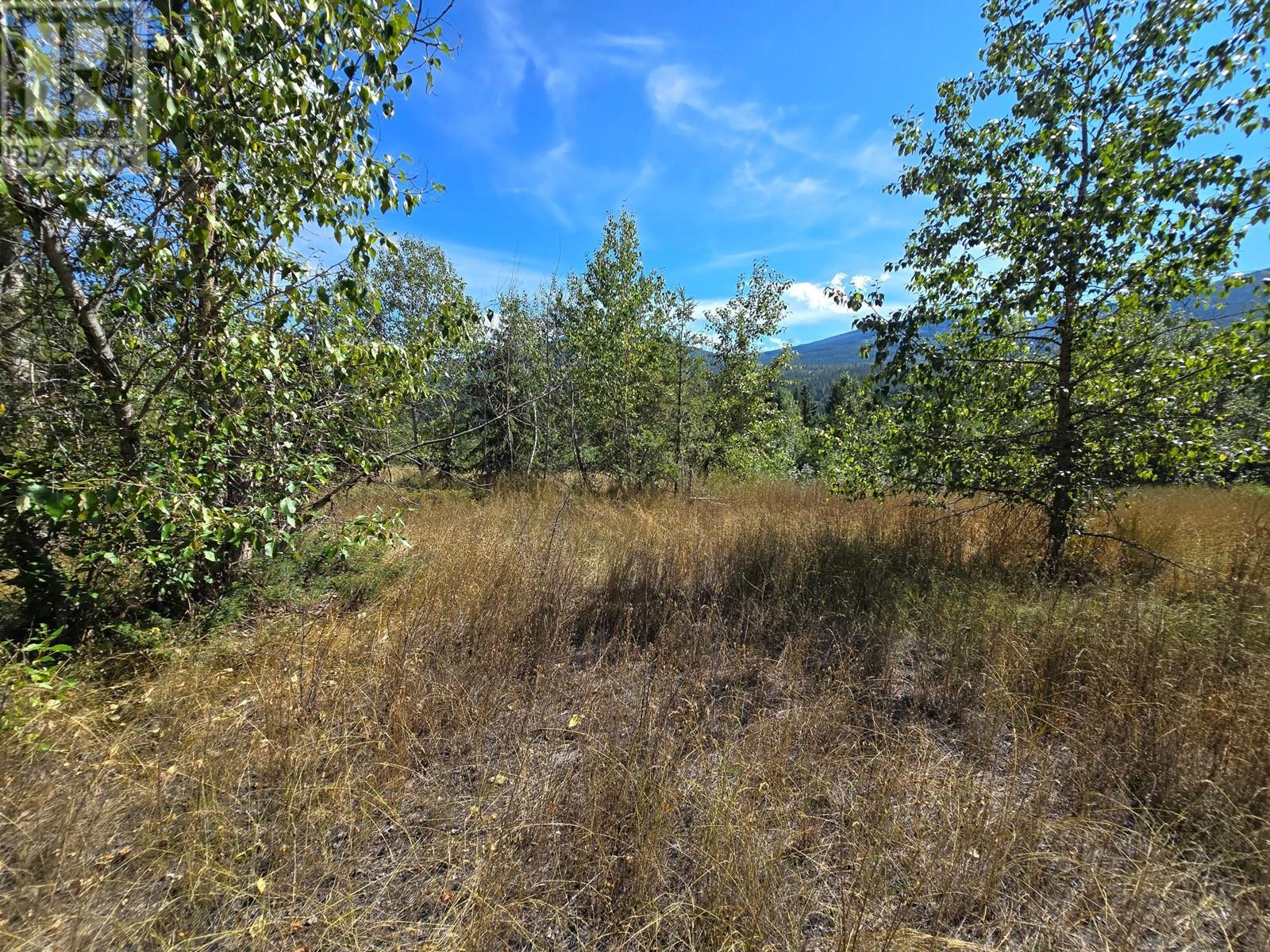 2584 Kp Road, Clearwater, British Columbia   - Photo 17 - 180459