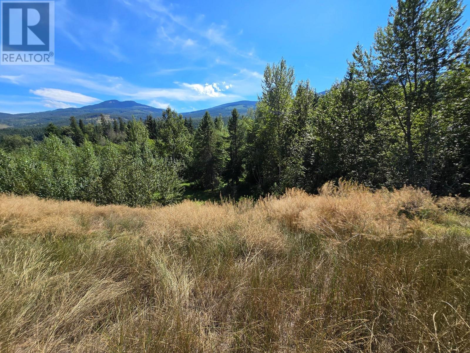 2584 Kp Road, Clearwater, British Columbia   - Photo 18 - 180459