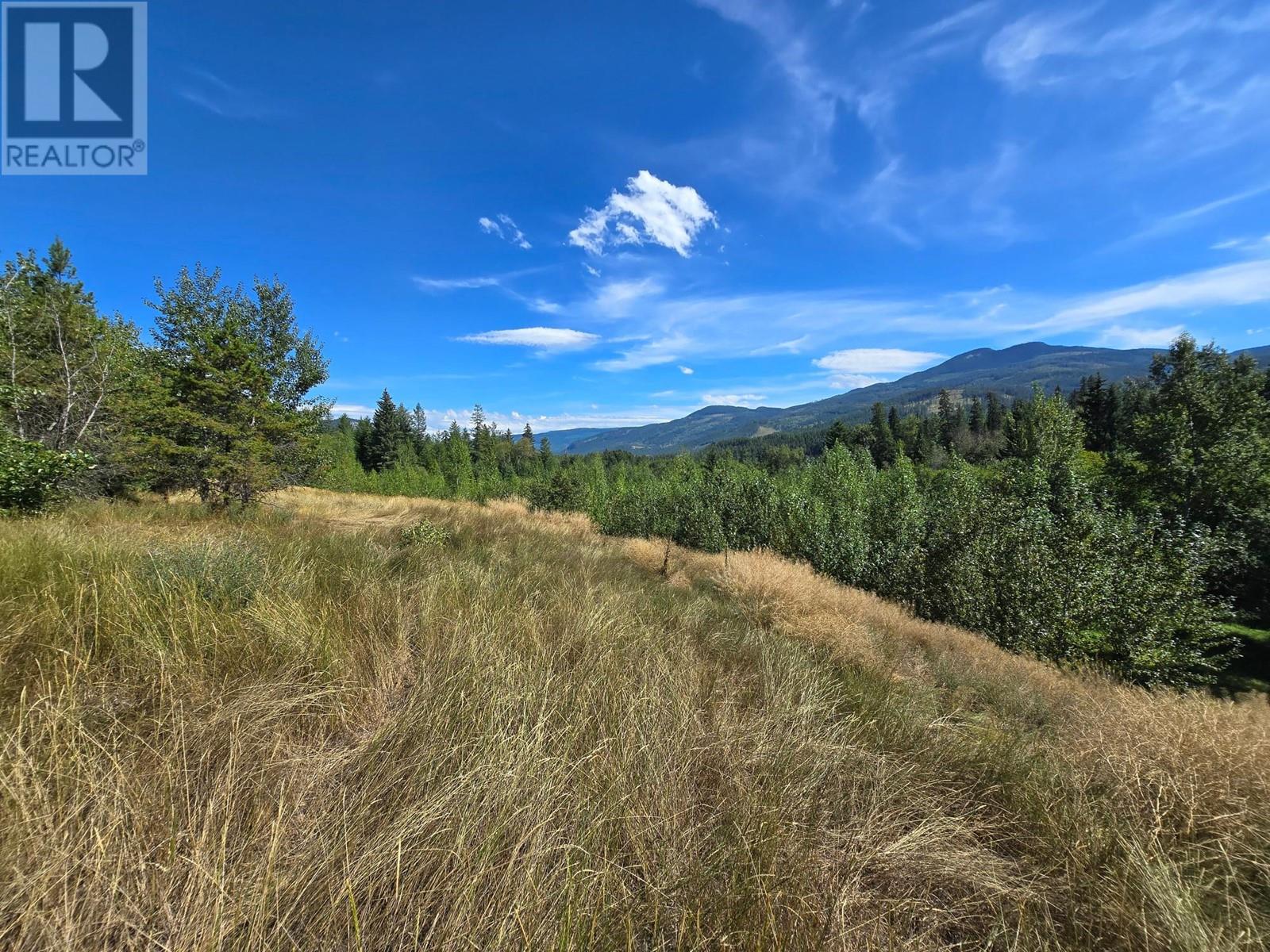 2584 Kp Road, Clearwater, British Columbia   - Photo 19 - 180459