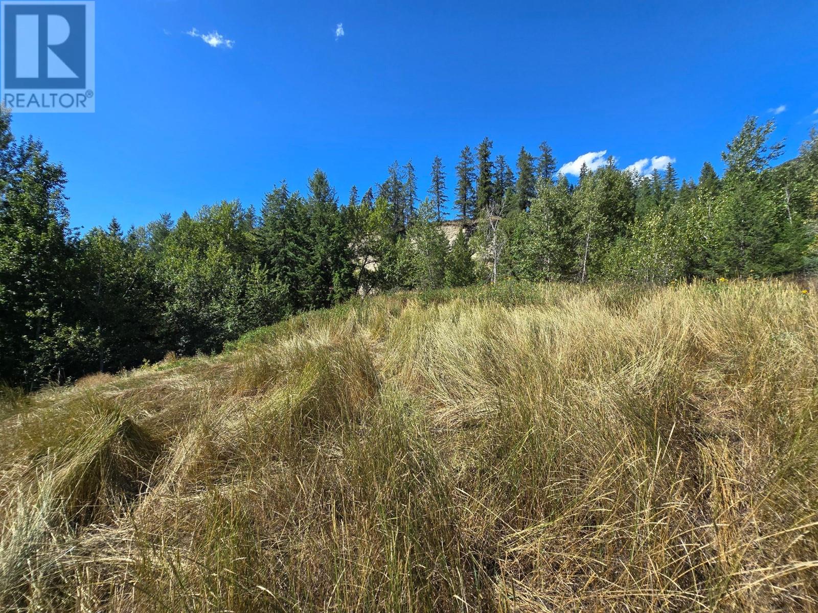 2584 Kp Road, Clearwater, British Columbia   - Photo 20 - 180459