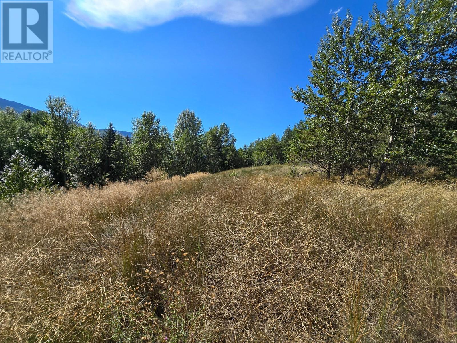 2584 Kp Road, Clearwater, British Columbia   - Photo 21 - 180459