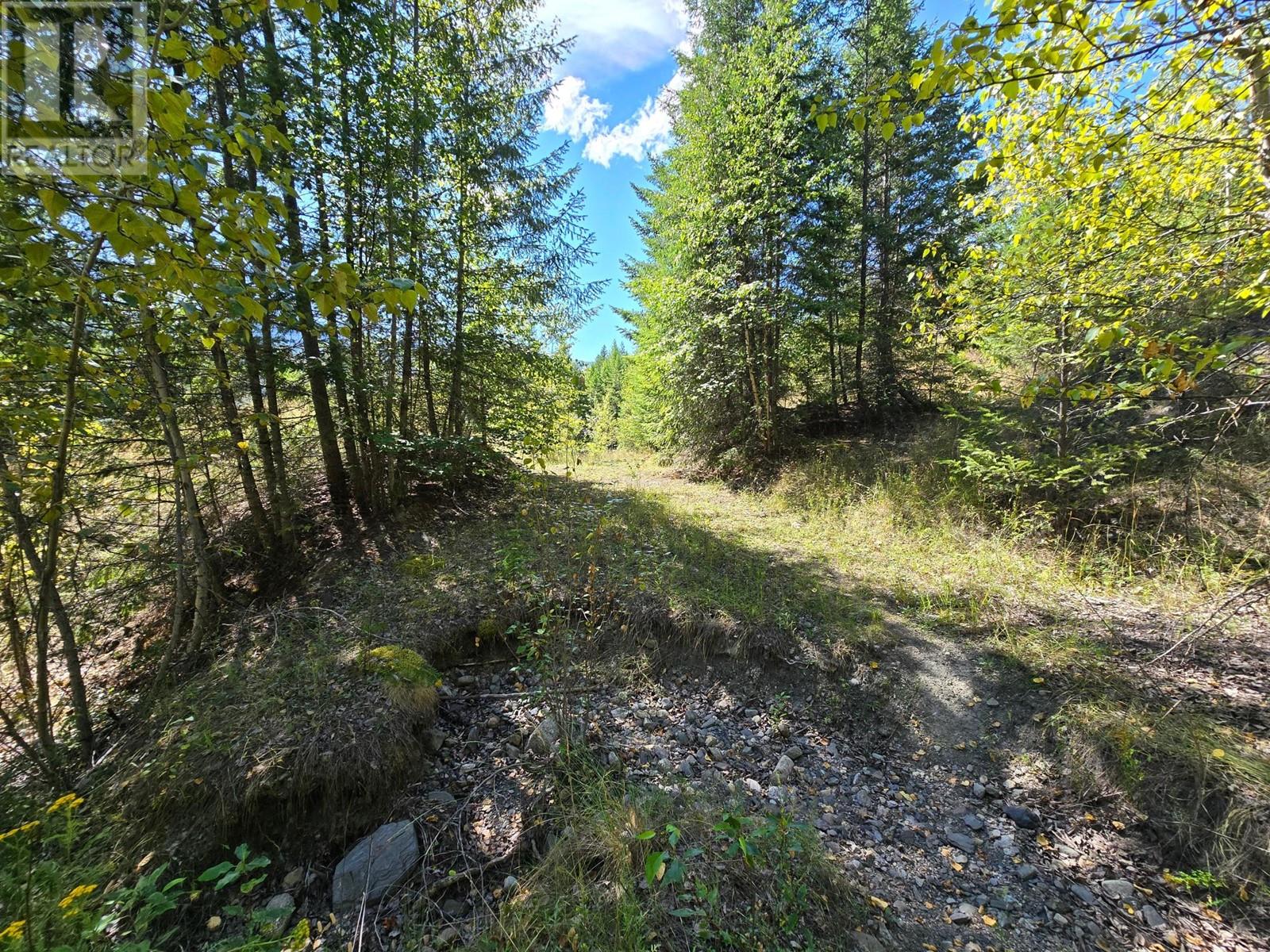 2584 Kp Road, Clearwater, British Columbia   - Photo 3 - 180459