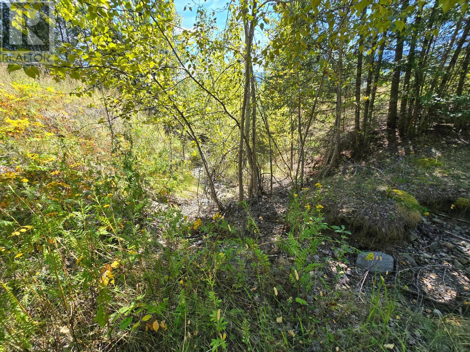 2584 Kp Road, Clearwater, British Columbia   - Photo 5 - 180459