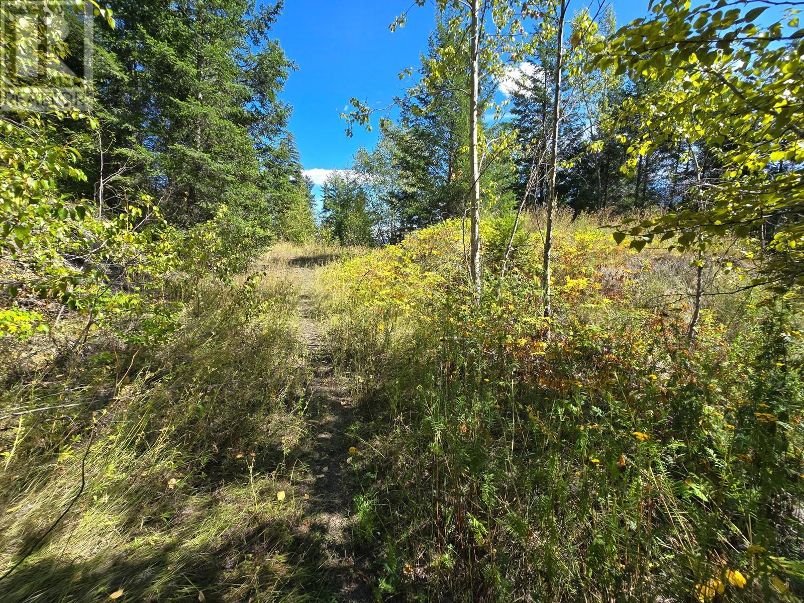 2584 Kp Road, Clearwater, British Columbia   - Photo 8 - 180459