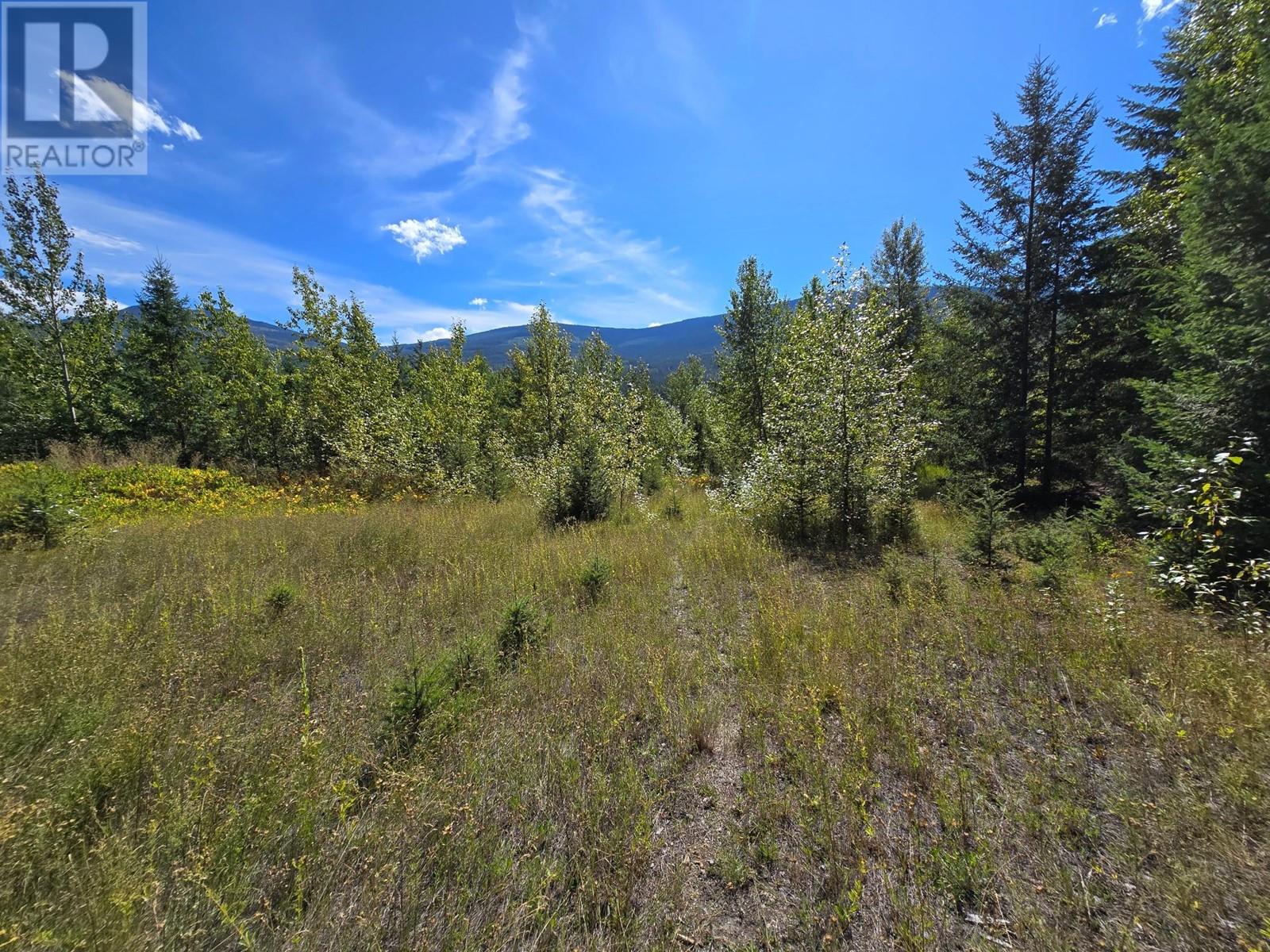 2584 Kp Road, Clearwater, British Columbia   - Photo 9 - 180459