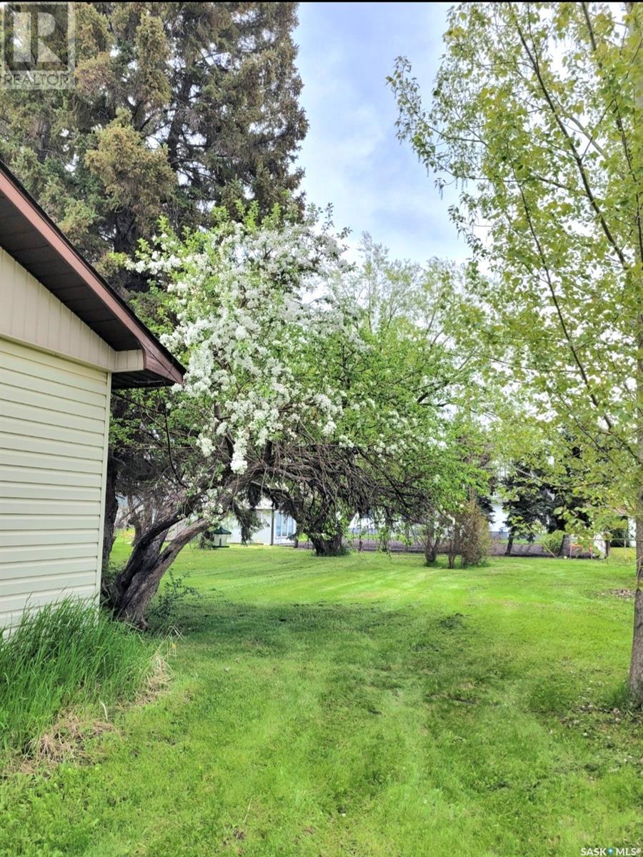 404 Second Avenue, Spy Hill, Saskatchewan  S0A 3W0 - Photo 25 - SK970128