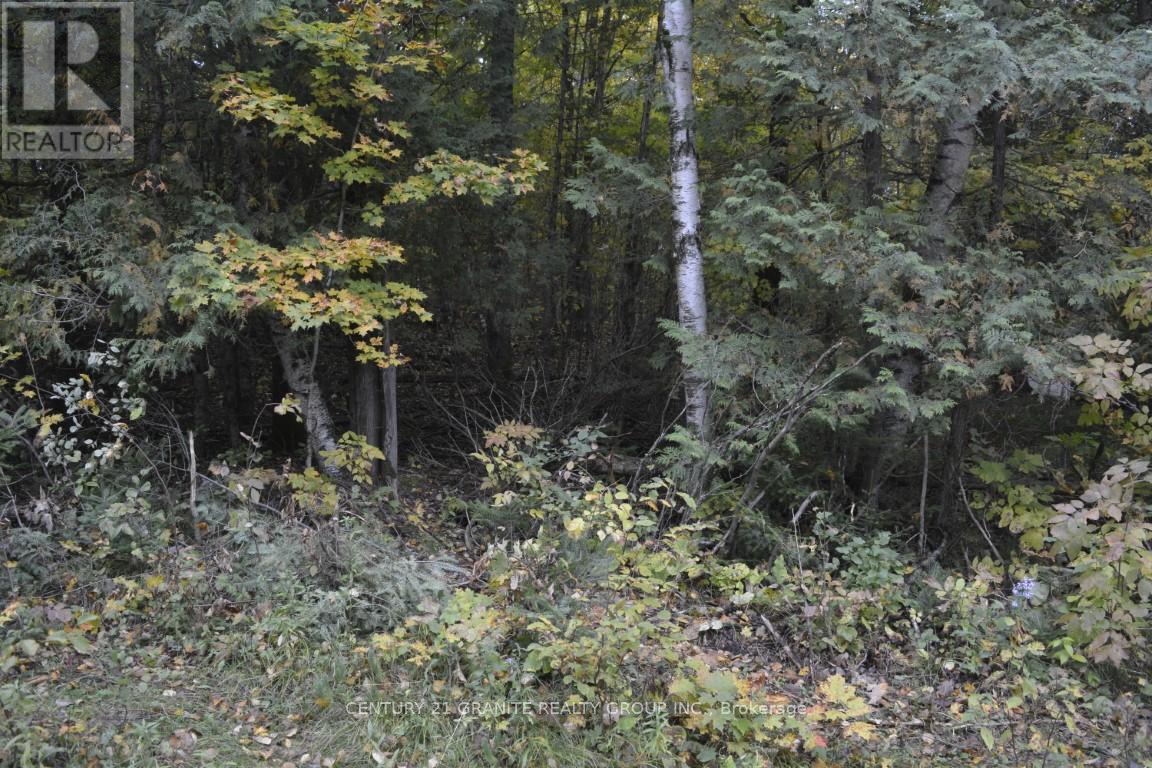 Ptlt 61 Old Hastings Road, Bancroft, Ontario  K0L 1P0 - Photo 1 - X8261860