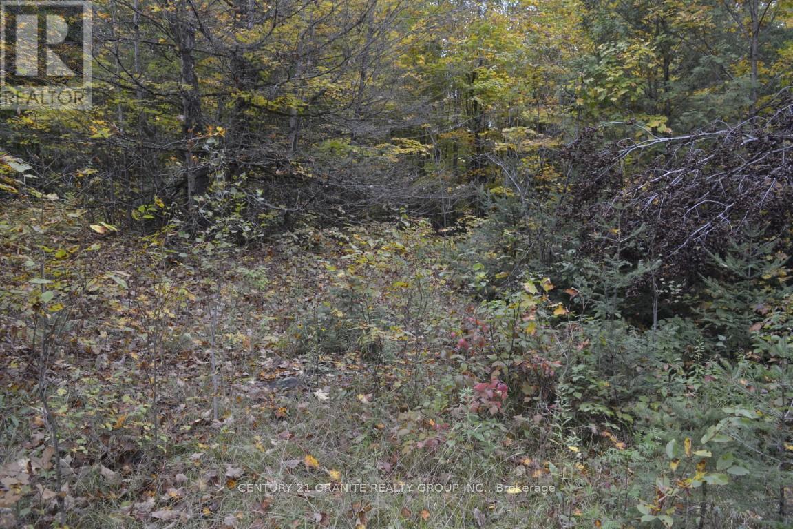 Ptlt 61 Old Hastings Road, Bancroft, Ontario  K0L 1P0 - Photo 3 - X8261860