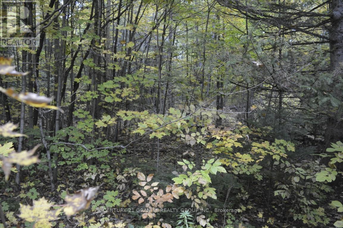 Ptlt 61 Old Hastings Road, Bancroft, Ontario  K0L 1P0 - Photo 4 - X8261860