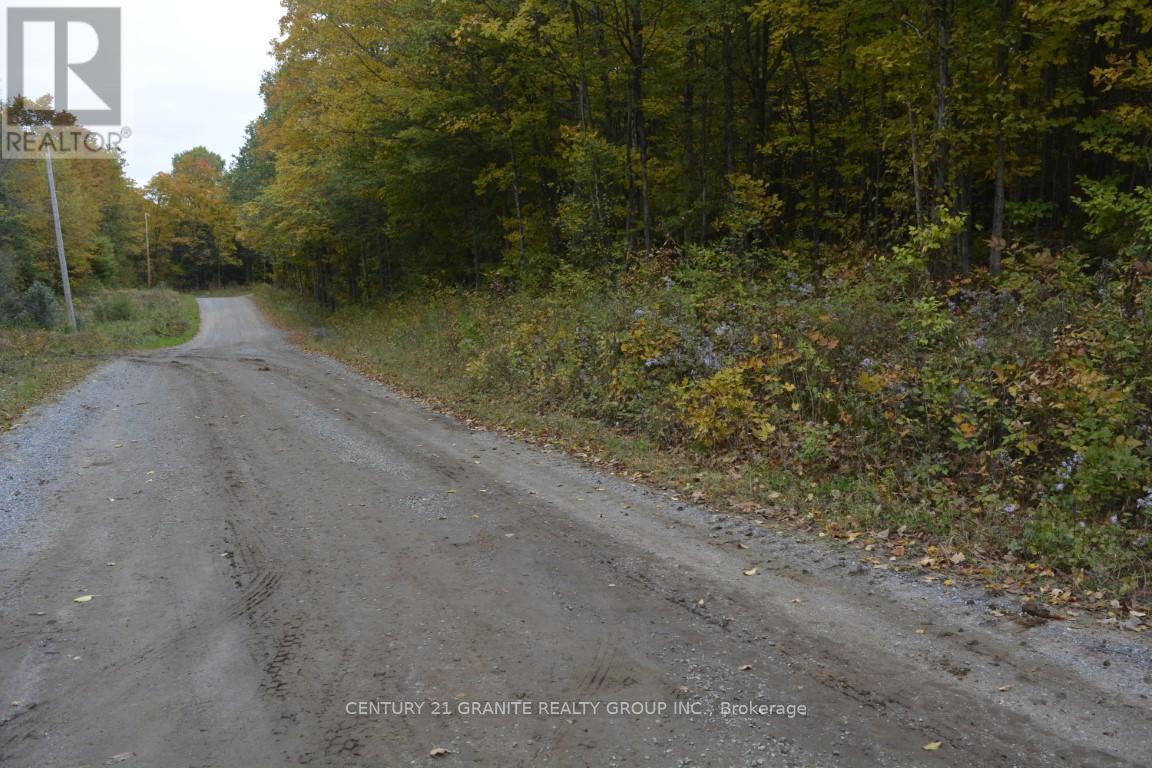 Ptlt 61 Old Hastings Road, Bancroft, Ontario  K0L 1P0 - Photo 5 - X8261860