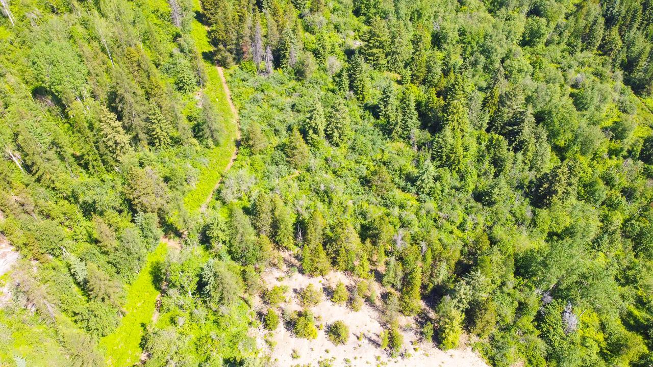 3300 10th Avenue, Castlegar, British Columbia  V1N 3A5 - Photo 11 - 2479162