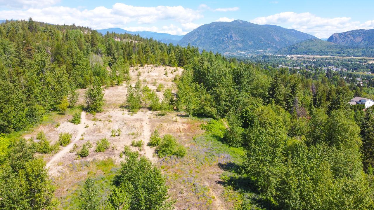 3300 10th Avenue, Castlegar, British Columbia  V1N 3A5 - Photo 17 - 2479162