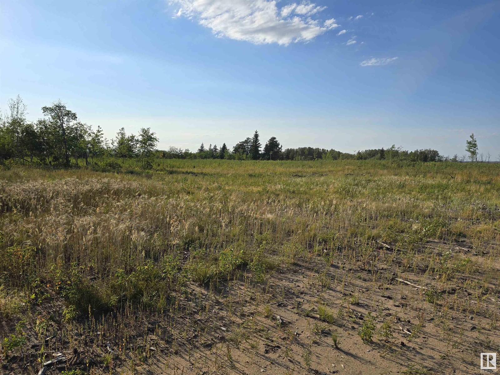 Rr 160 Twp 584, Rural Lamont County, Alberta  T0B 4B0 - Photo 9 - E4394981