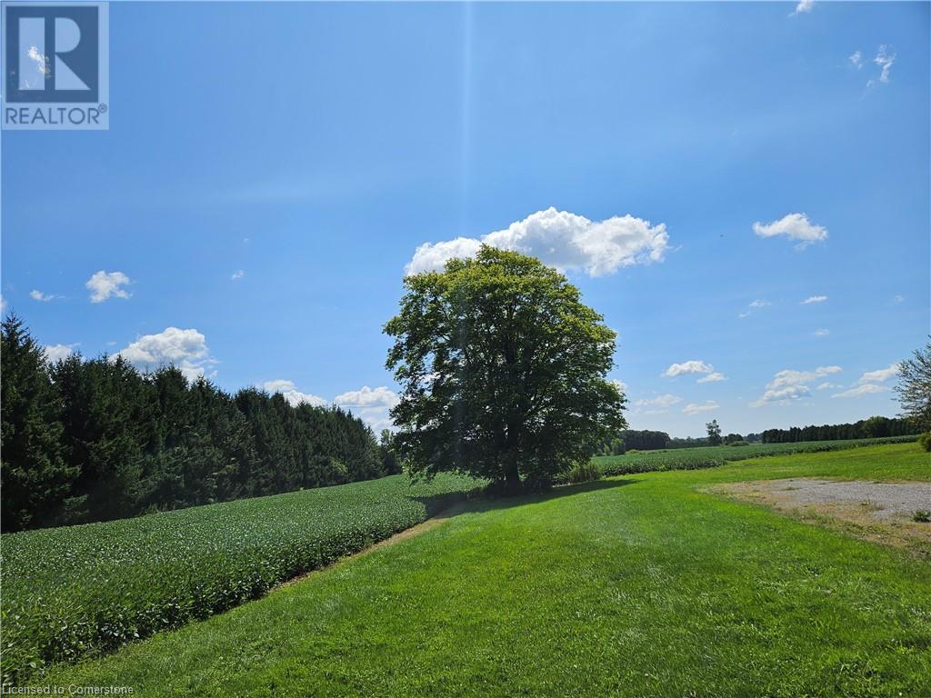 356 Windham Road 12, Delhi, Ontario  N3Y 4K6 - Photo 2 - 40636046