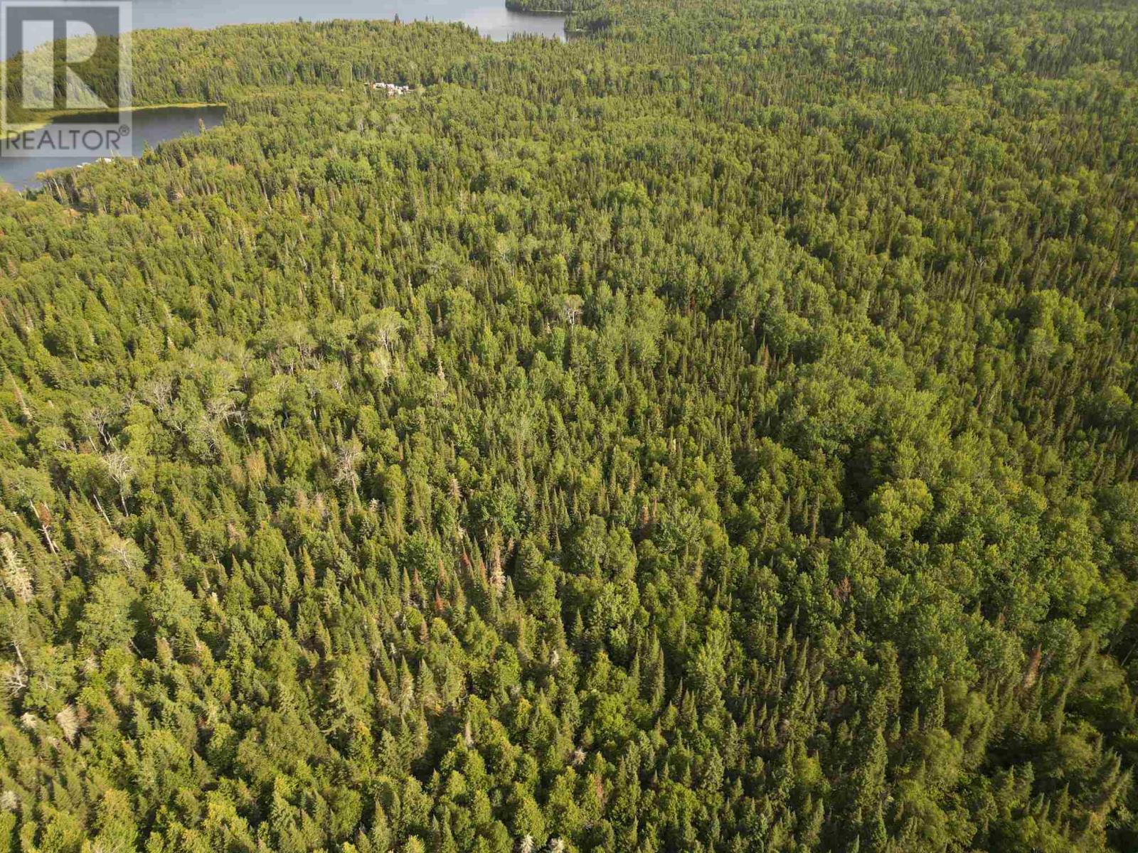 00 Athelstane Lake Rd, Shebandowan, Ontario  P0T 2T0 - Photo 39 - TB242694