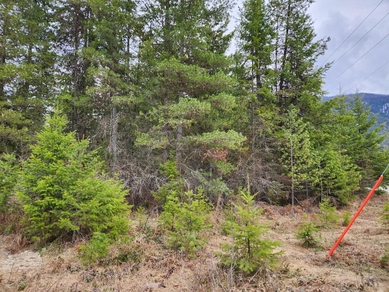 Lots 8-10 Hume Street, Slocan, British Columbia  V0G 2C0 - Photo 12 - 2474492