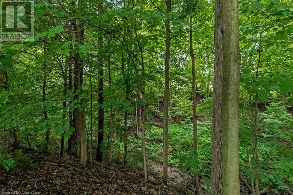 45 Edwin Crescent, Tillsonburg, Ontario  N4G 5H5 - Photo 40 - 40614668