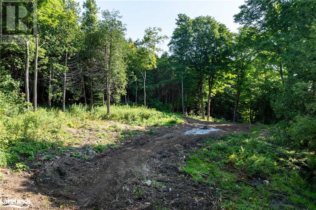 3 Pretty River Road, The Blue Mountains, Ontario  L0M 1P0 - Photo 19 - 40635237