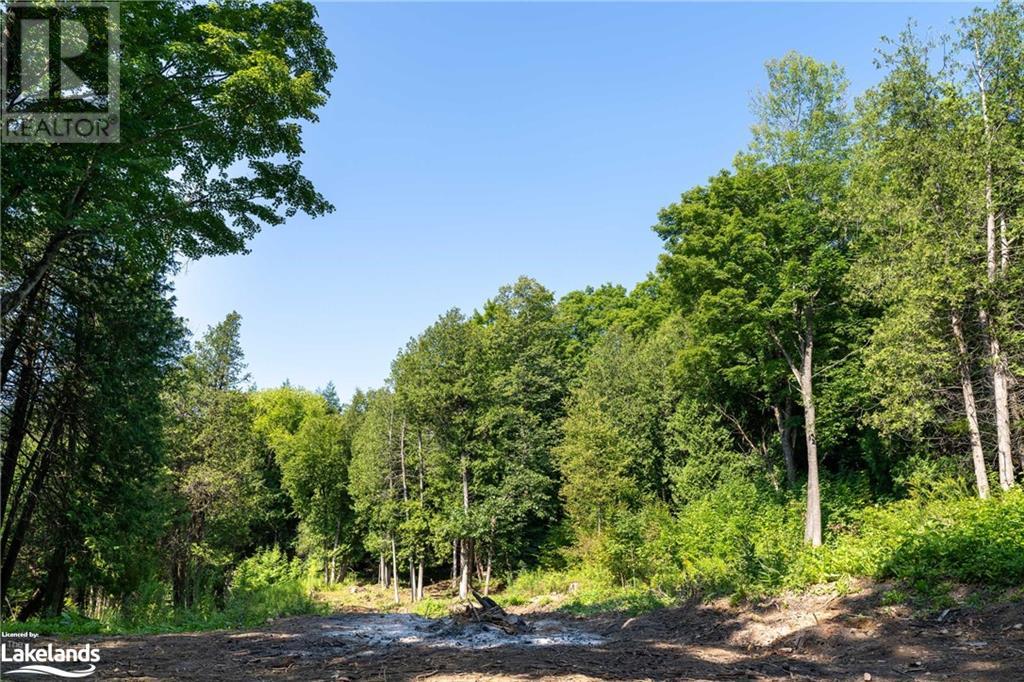 3 Pretty River Road, The Blue Mountains, Ontario  L0M 1P0 - Photo 29 - 40635237