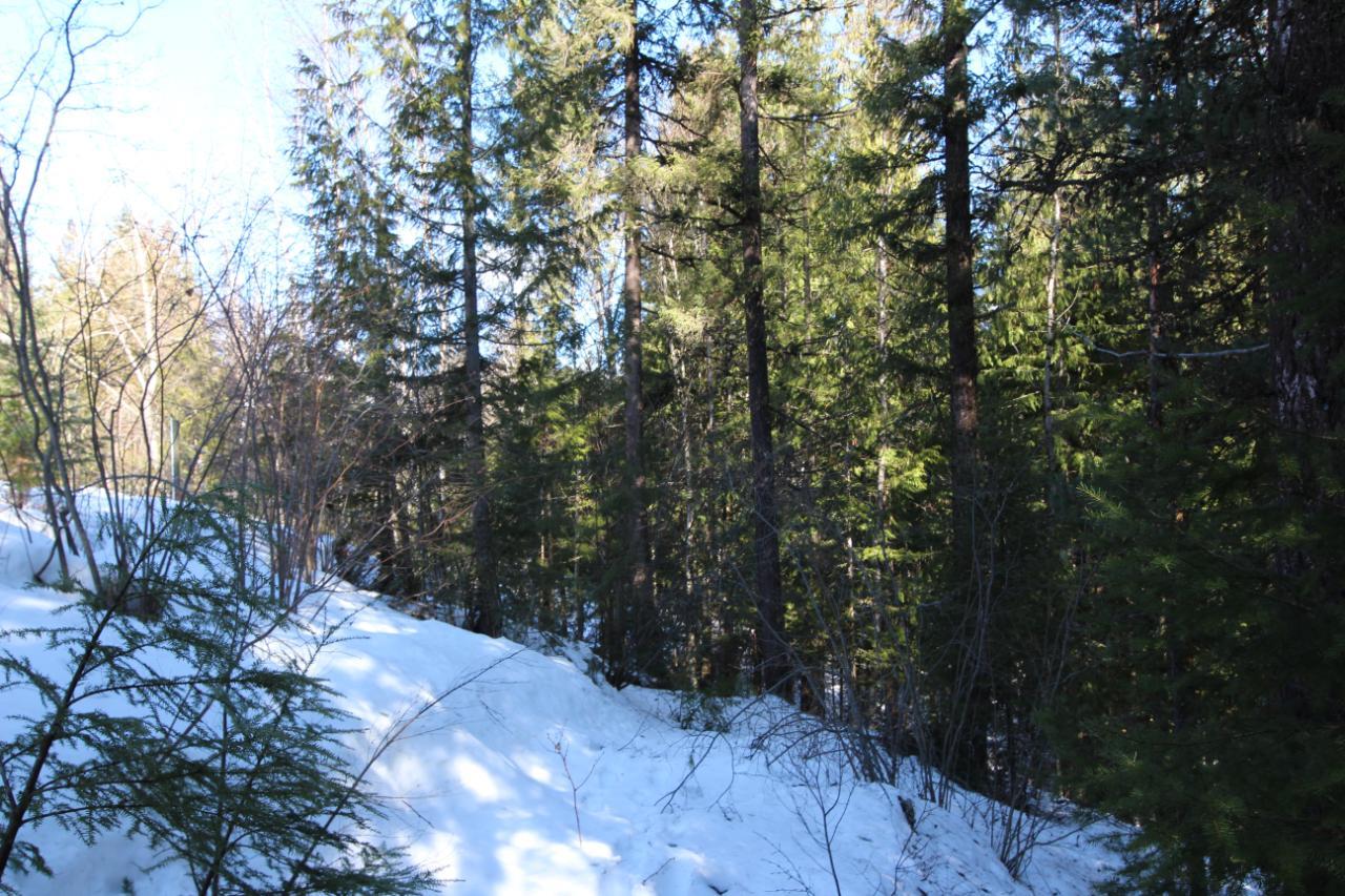 Lot 14 Poplar Ridge Road, South Slocan, British Columbia  V0G 1H1 - Photo 15 - 2479122