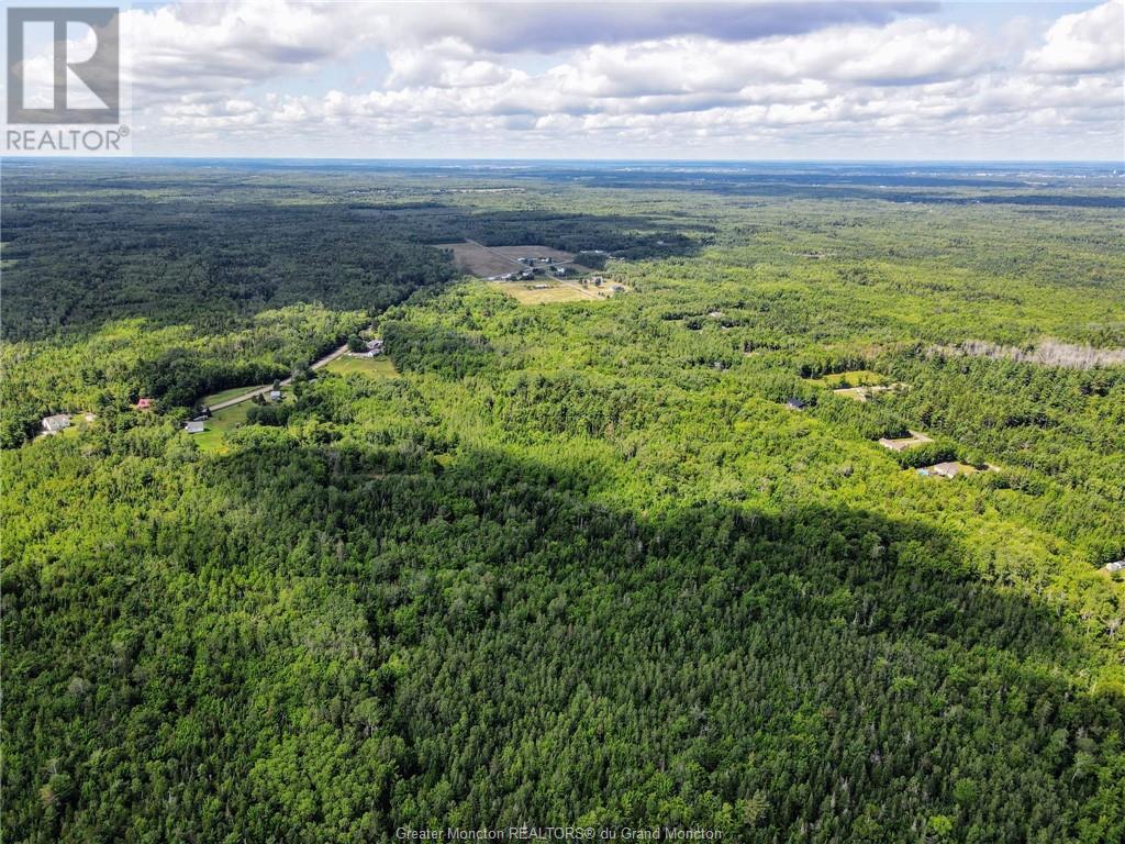 Lot-1 Route 134, Dundas, New Brunswick  E4R 2Z1 - Photo 10 - M161787