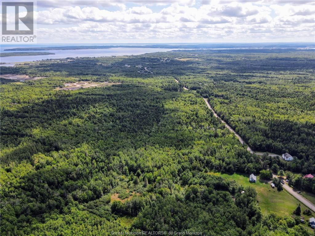 Lot-2 Route 134, Dundas, New Brunswick  E4R 2Z1 - Photo 6 - M161789