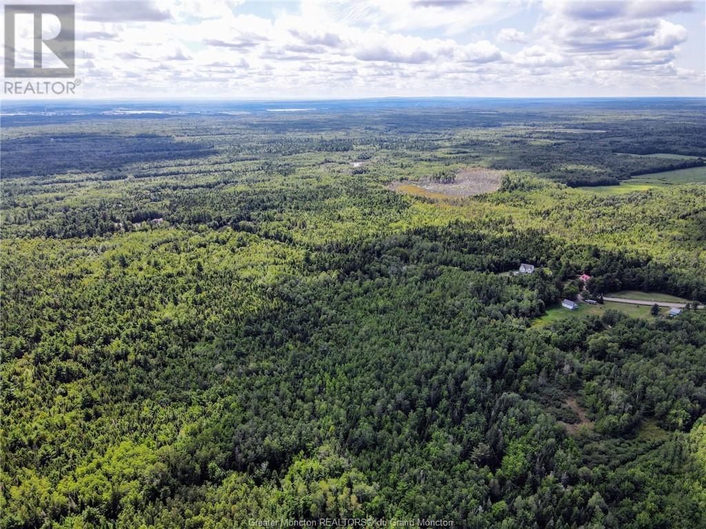 Lot-2 Route 134, Dundas, New Brunswick  E4R 2Z1 - Photo 8 - M161789