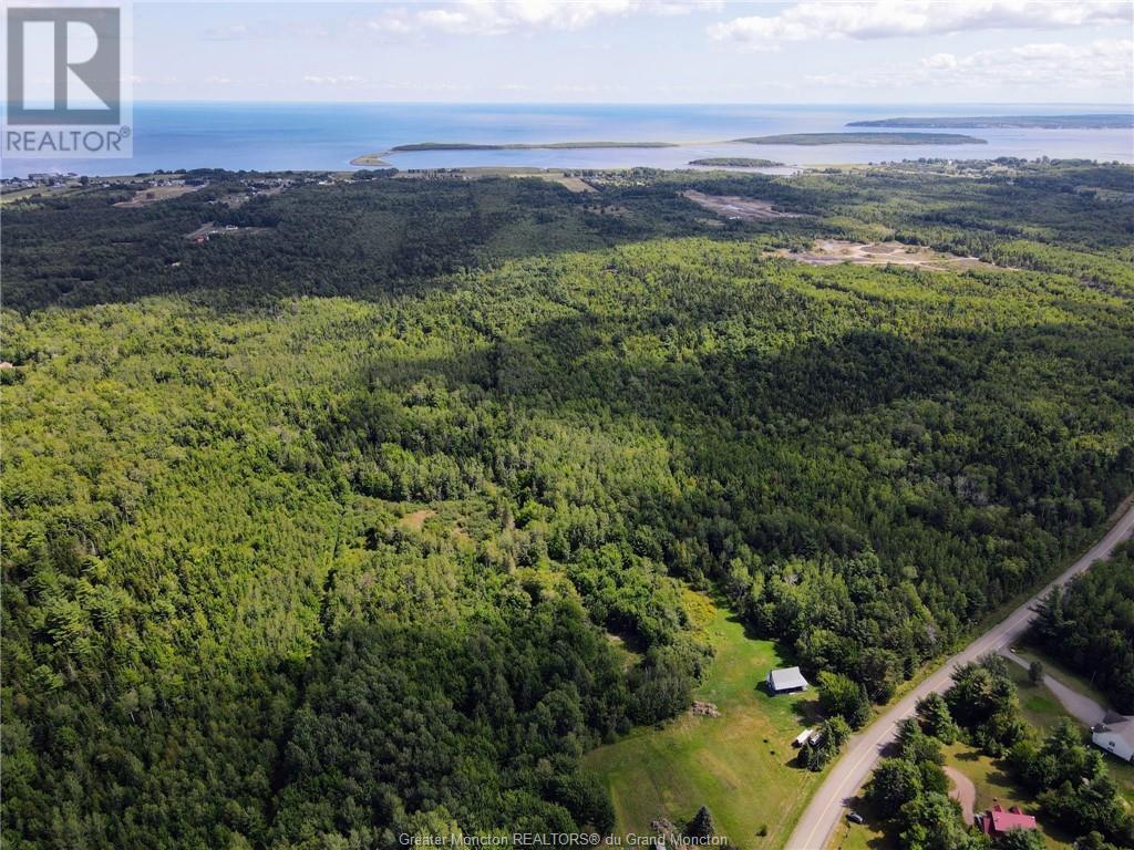 Lot-2 Route 134, Dundas, New Brunswick  E4R 2Z1 - Photo 4 - M161789