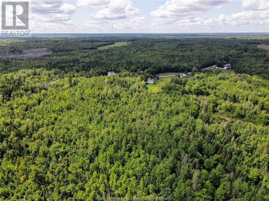 Lot-3 Route 134, Dundas, New Brunswick  E4R 2Z1 - Photo 12 - M161793