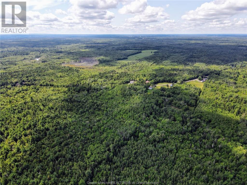 Lot-3 Route 134, Dundas, New Brunswick  E4R 2Z1 - Photo 9 - M161793