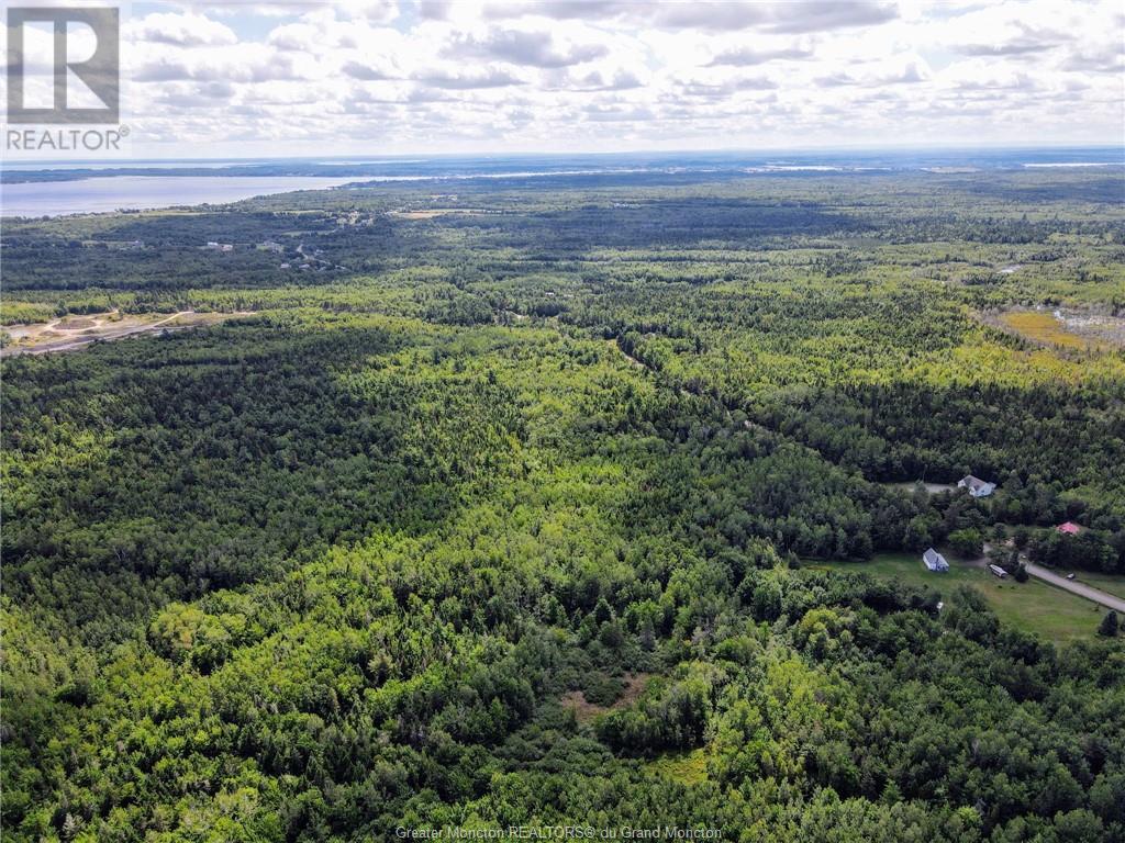 Lot-3 Route 134, Dundas, New Brunswick  E4R 2Z1 - Photo 7 - M161793