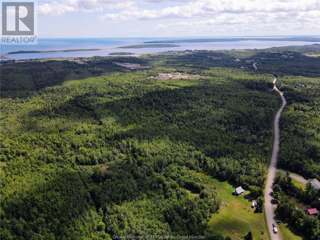 Lot-3 Route 134, Dundas, New Brunswick  E4R 2Z1 - Photo 5 - M161793