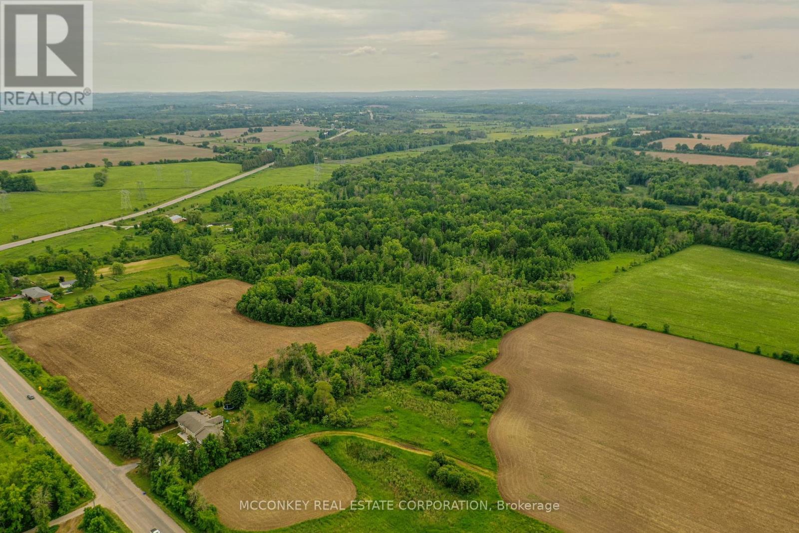 3632 Wallace Point Road, Otonabee-South Monaghan, Ontario  K9J 0E4 - Photo 7 - X8438012