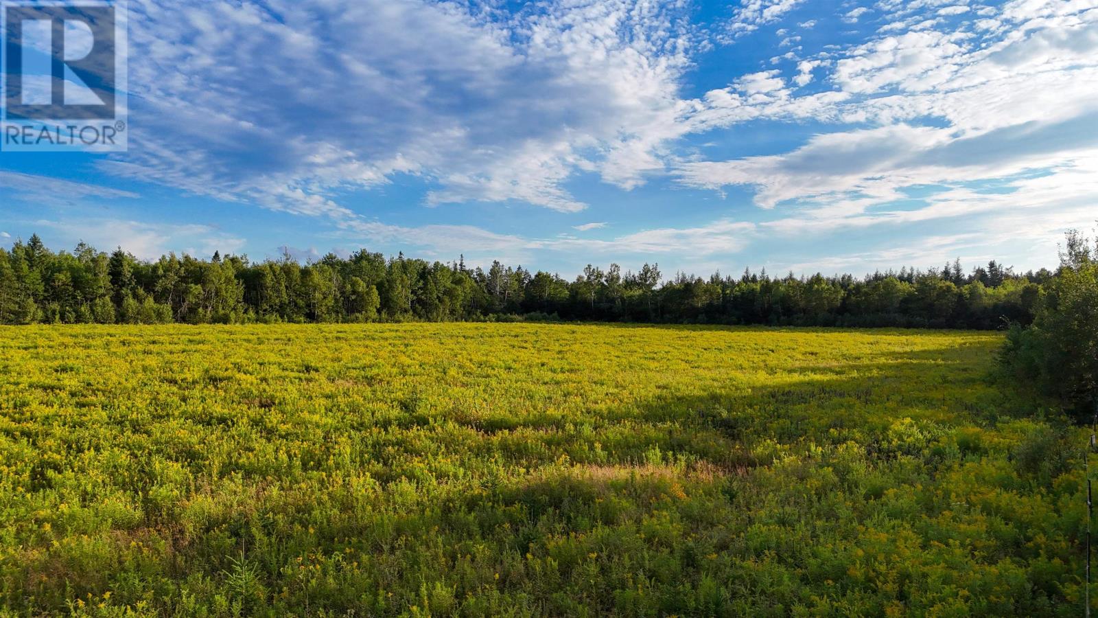 Lot 1 Peters Road, Pembroke, Prince Edward Island  C0A 1R0 - Photo 10 - 202420479