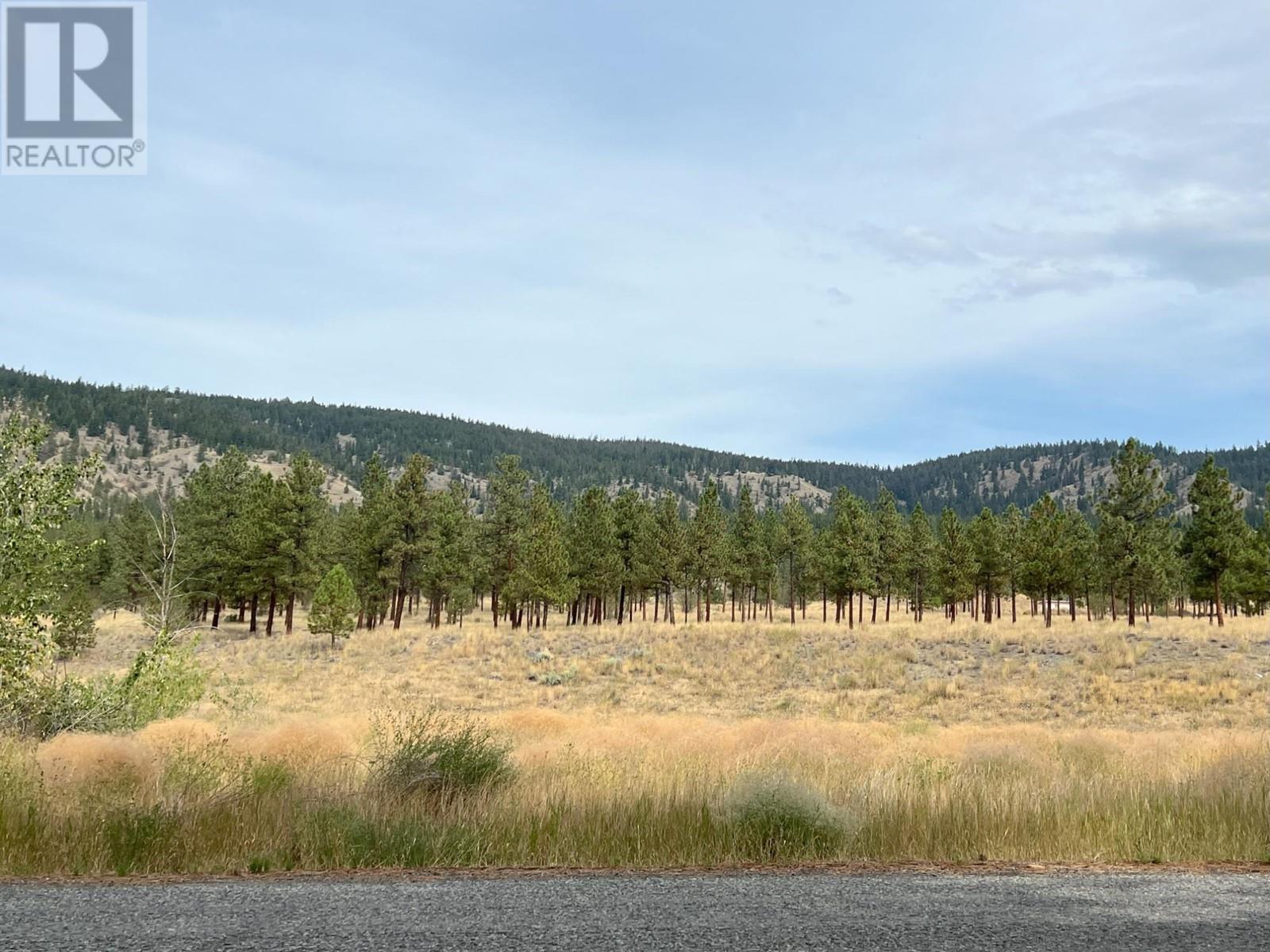 2199 Castillou Cres, Merritt, British Columbia  V1K 1H7 - Photo 41 - 180523