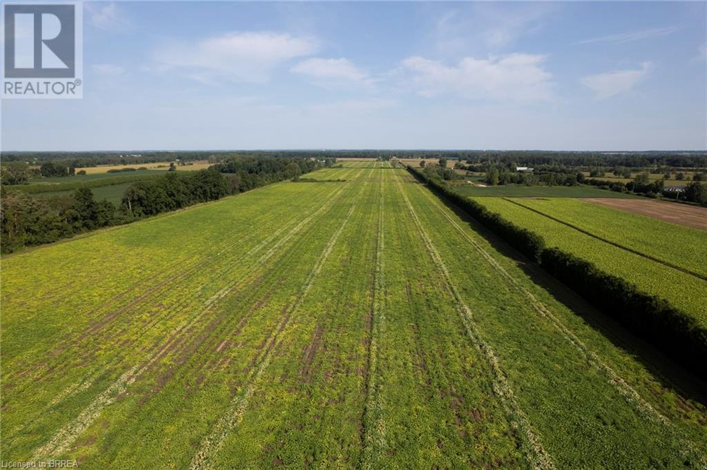 1525 Highway 3, Delhi, Ontario  N4B 2W4 - Photo 5 - 40635037