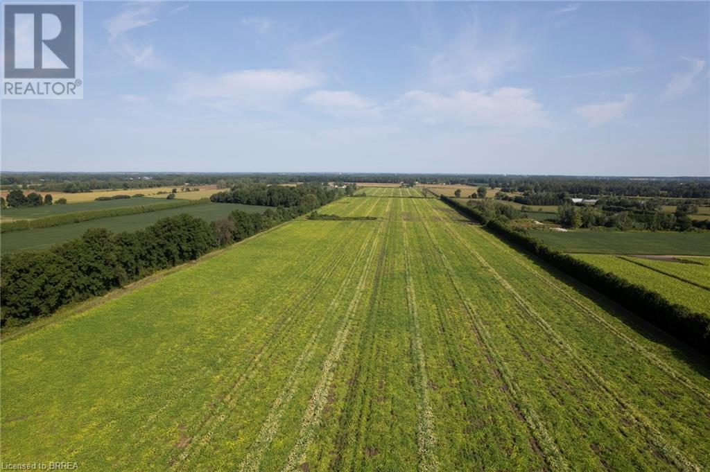 1525 Highway 3, Delhi, Ontario  N4B 2W4 - Photo 6 - 40635037