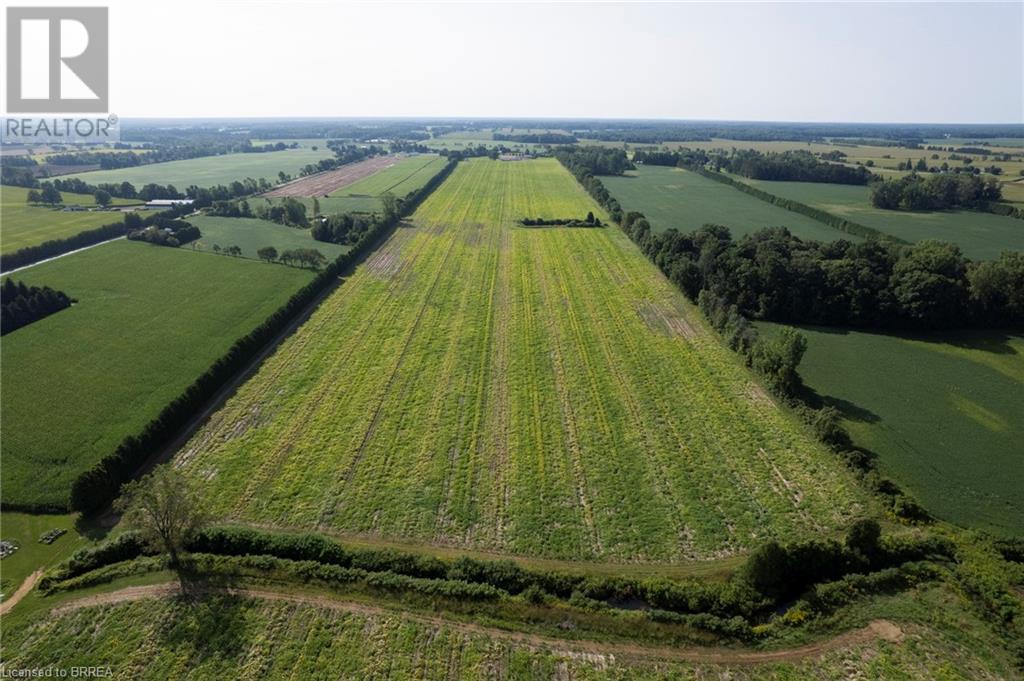 1525 Highway 3, Delhi, Ontario  N4B 2W4 - Photo 7 - 40635037