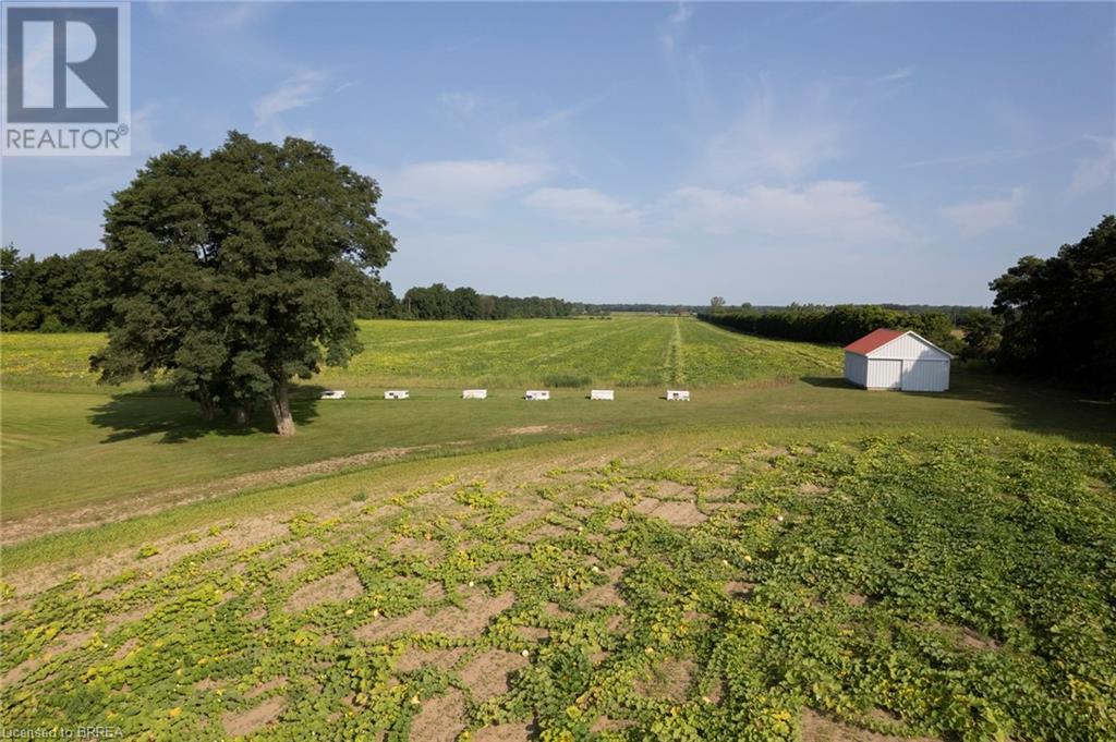 1525 Highway 3, Delhi, Ontario  N4B 2W4 - Photo 9 - 40635037