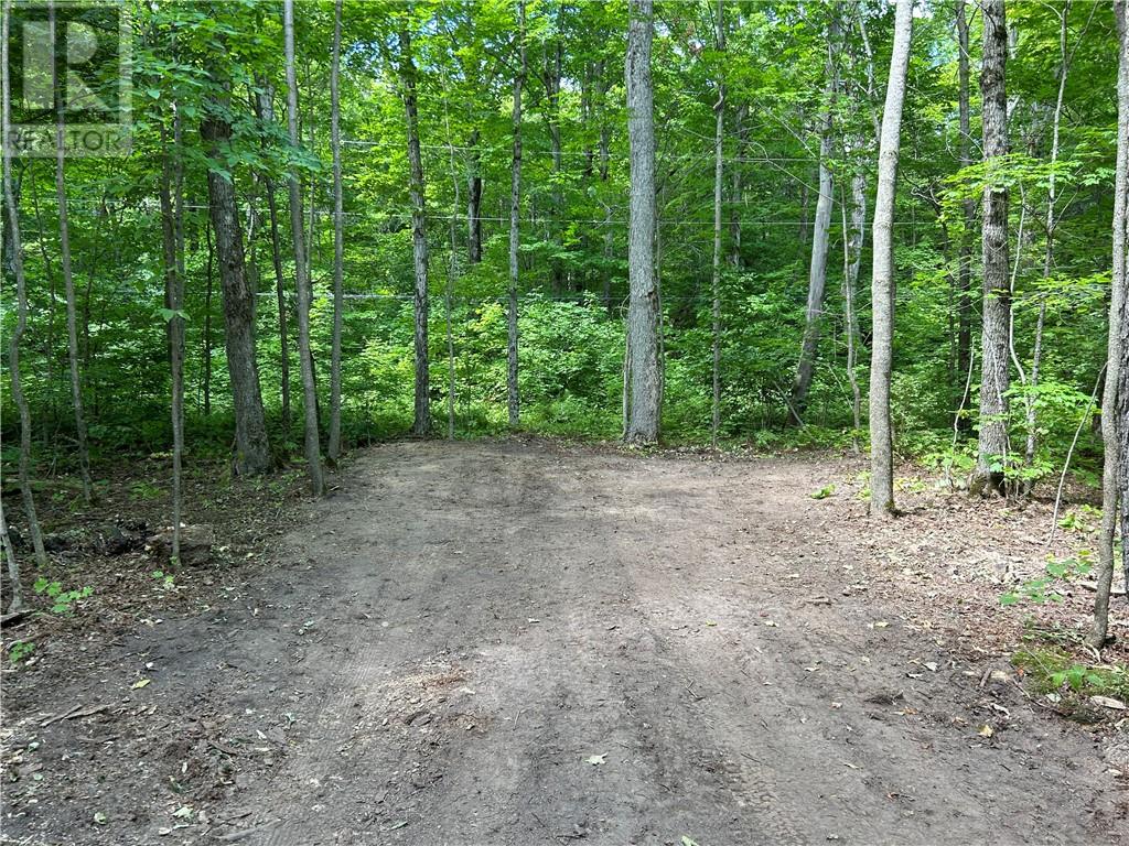 N/a Monument Road, Spring Bay, Ontario  P0P 2N0 - Photo 15 - 2118483