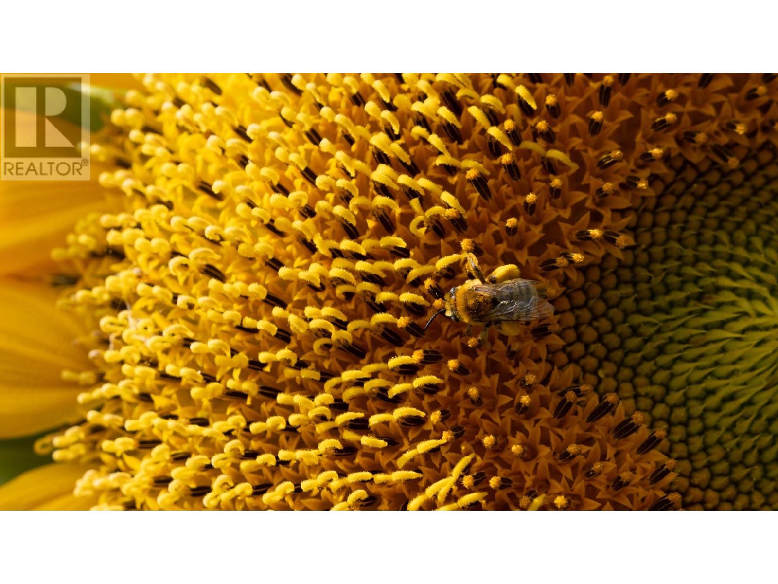 27-3099 Shuswap Road E, Kamloops, British Columbia  V2H 1T7 - Photo 31 - 180533