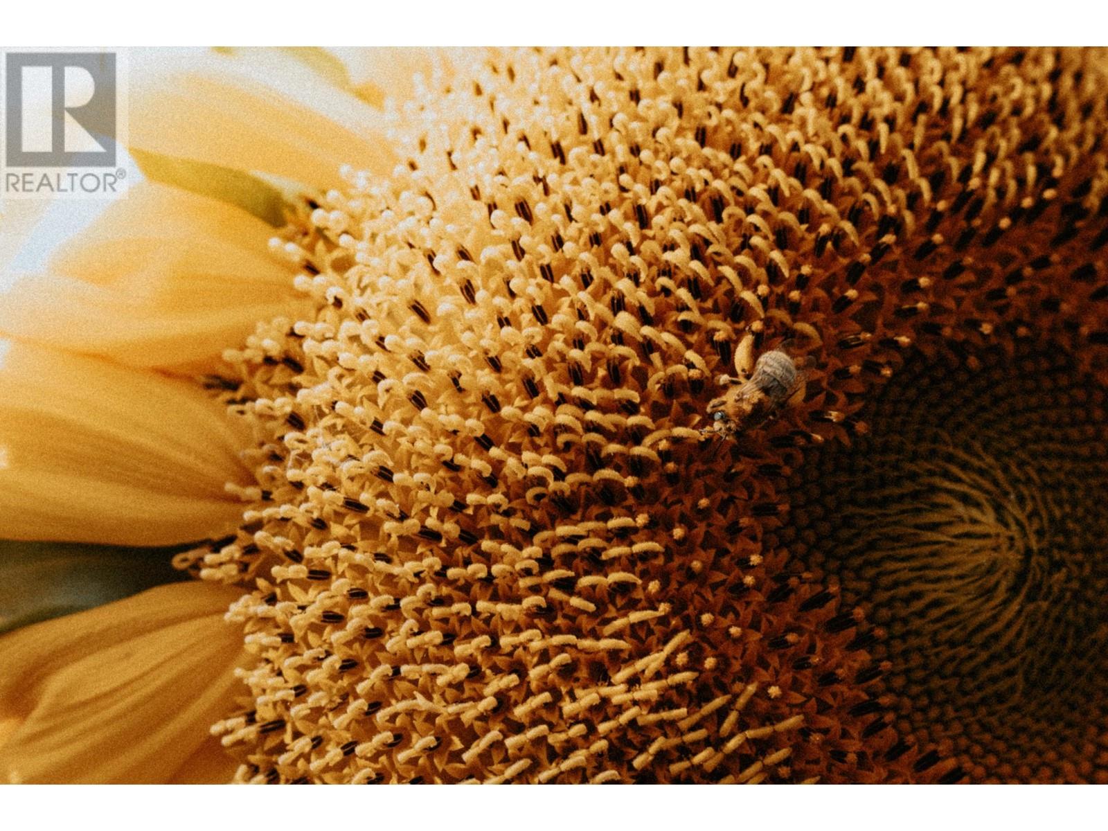 27-3099 Shuswap Road E, Kamloops, British Columbia  V2H 1T7 - Photo 32 - 180533