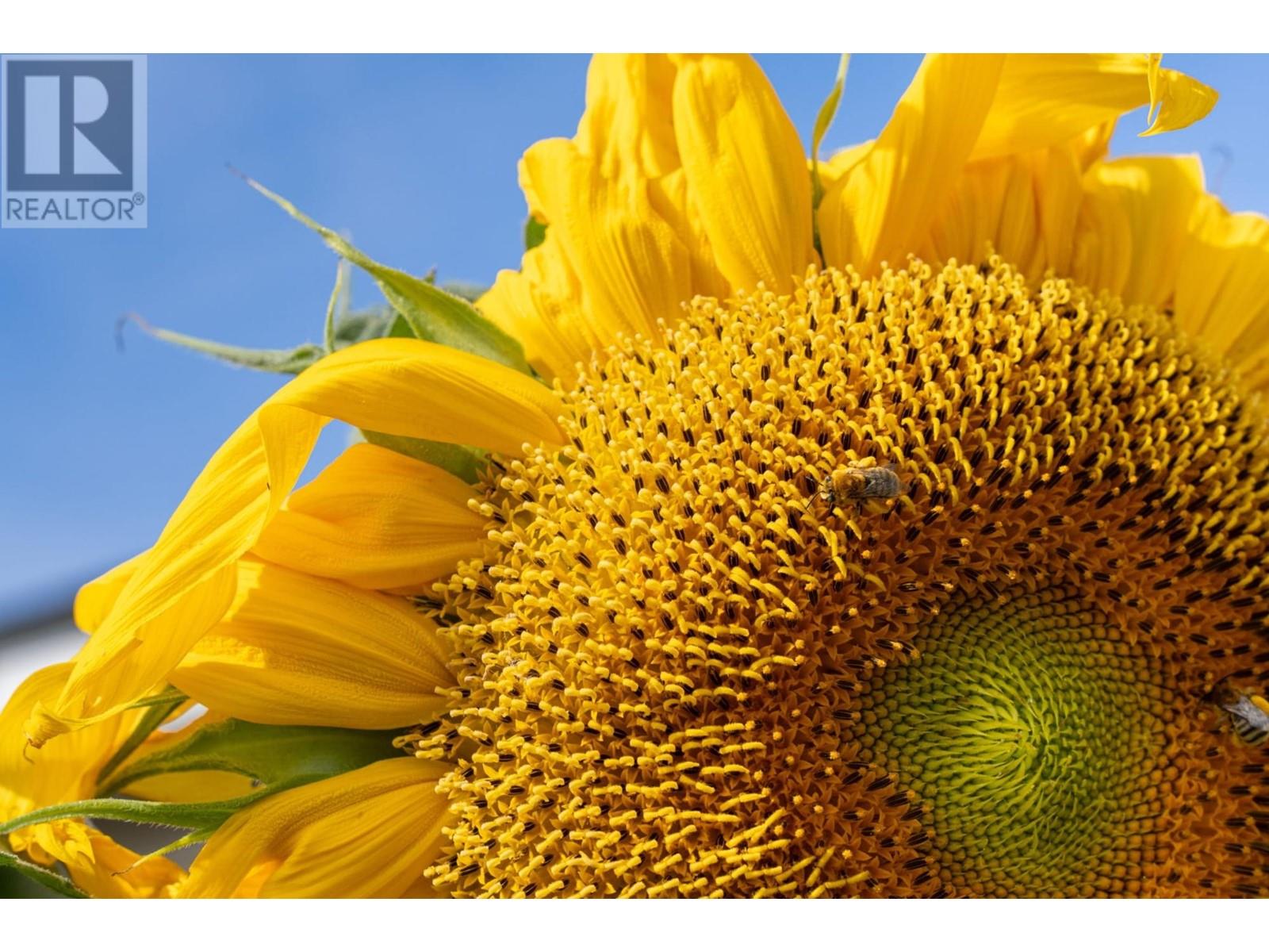 27-3099 Shuswap Road E, Kamloops, British Columbia  V2H 1T7 - Photo 33 - 180533