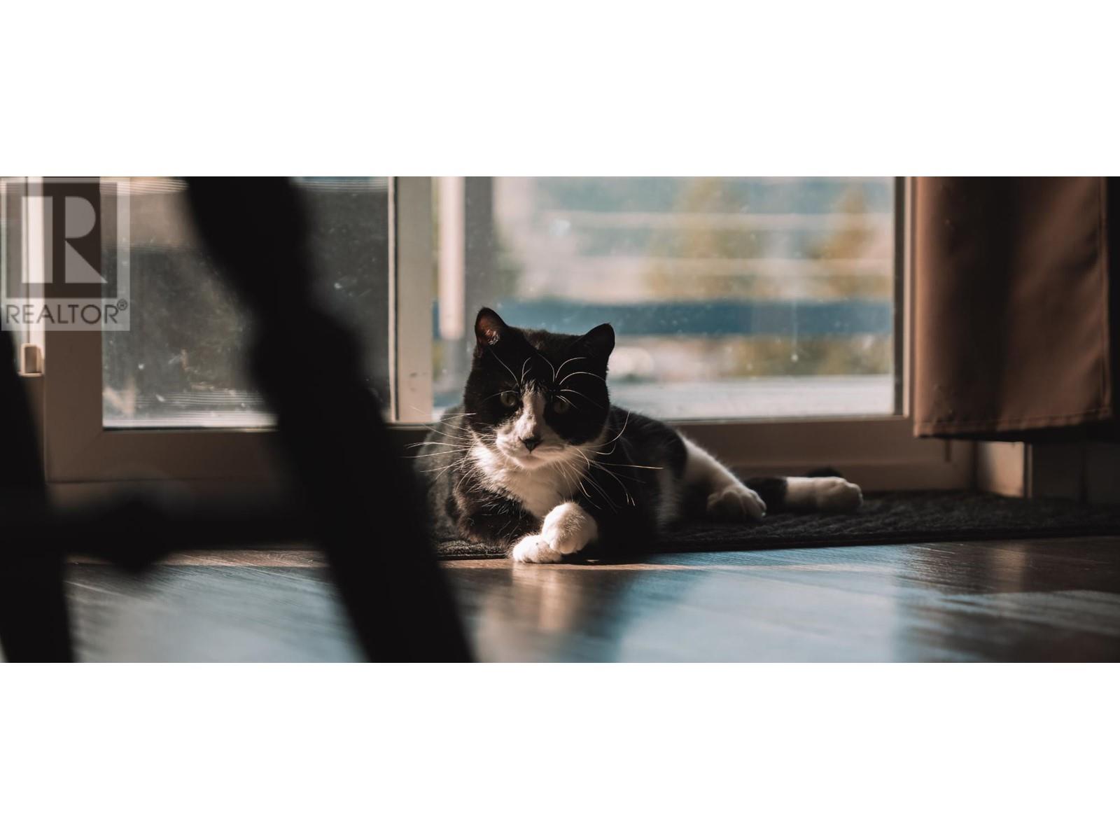 27-3099 Shuswap Road E, Kamloops, British Columbia  V2H 1T7 - Photo 35 - 180533