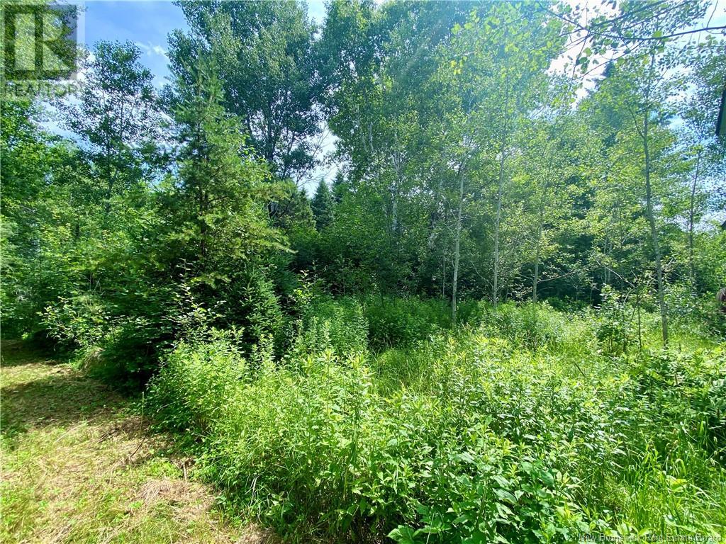 12 Keenans Footbridge Road, Keenans, New Brunswick  E9B 2G1 - Photo 23 - NB103077