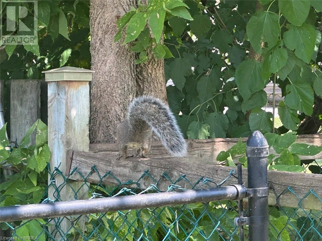 201 Grand Street, Brantford, Ontario  N3R 4C2 - Photo 21 - 40635992